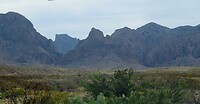 20220416083155_IMG_4332~3