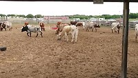 Fort Worth Stockyards 2
