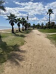 IMG_1794
