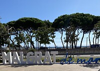 IMG_1817