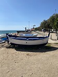 IMG_1822
