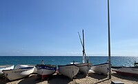 IMG_1831