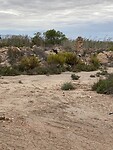 IMG_2031