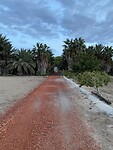 IMG_2024