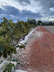 IMG_2023