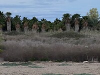 IMG_2026