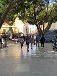 IMG_2190