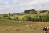 Tableland
