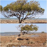 Strand Clairview
