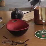 Slimme, beetje brutale duif