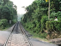 IMG_0829
