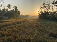 IMG_0833