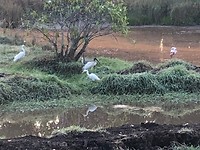 IMG_0835