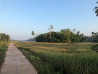 IMG_0839