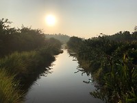 IMG_0843