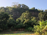 IMG_0858