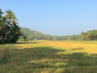 IMG_0860