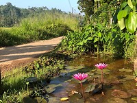 IMG_0862