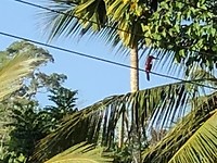 IMG_0869