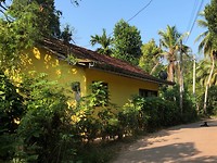 IMG_0874