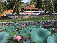IMG_0875