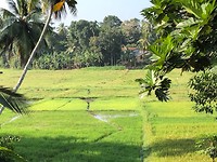 IMG_0880