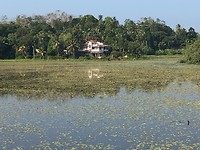 IMG_0881
