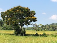 IMG_0933