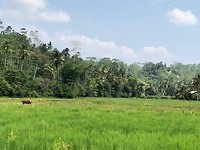 IMG_0937