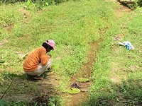 IMG_0942