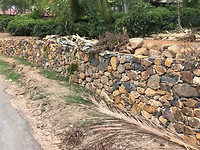 IMG_0953