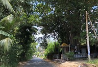 IMG_0954