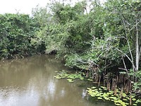 IMG_0956