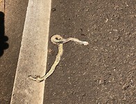 IMG_0905