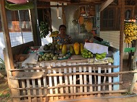 IMG_0904