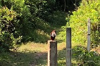 IMG_0899