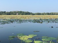 IMG_0888
