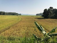 IMG_0886