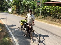 IMG_0925