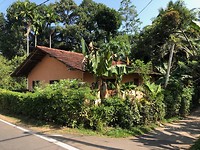 IMG_0914