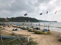 IMG_0749