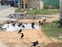 IMG_0752