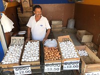 IMG_1032