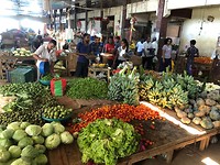 IMG_1034