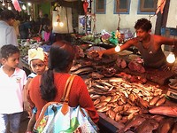 IMG_1038