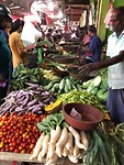 IMG_1041