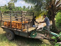 IMG_1112