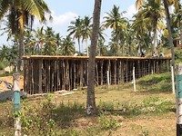 IMG_1122