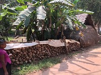 IMG_1093