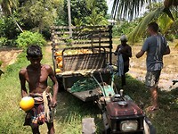 IMG_1115